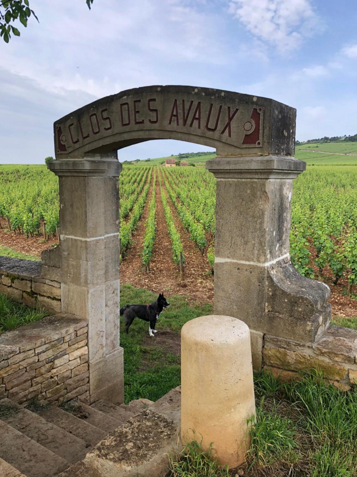 La Route Des Vins Daire Beaune  Dış mekan fotoğraf